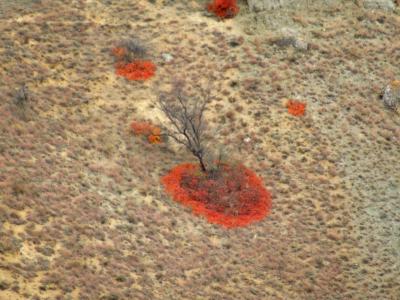 Прикрепленное изображение: DSCF6052.jpg